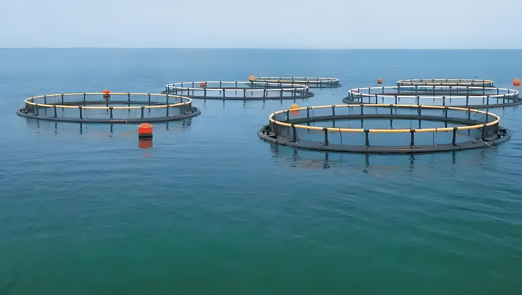 Application in Aquaculture Online Monitoring Solution