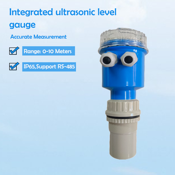 Integrated ultrasonic level gauge