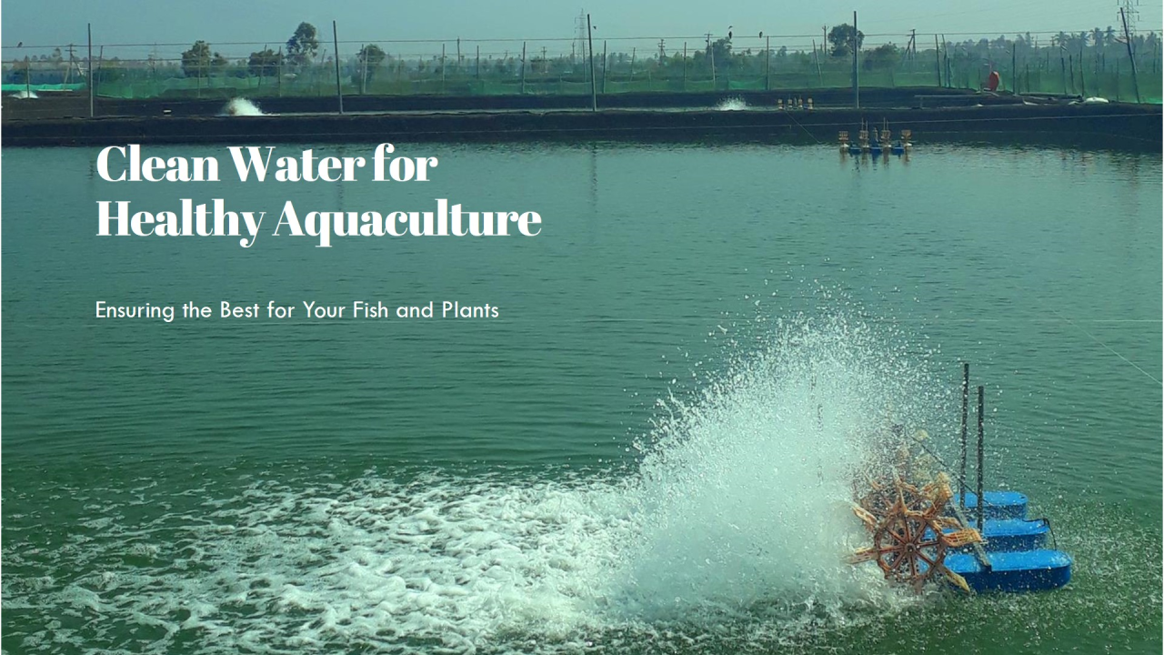 The impact of water acidity and alkalinity on aquaculture